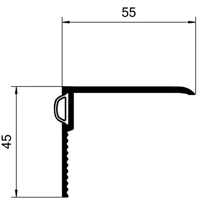 Bodenschwellendichtungen - Renovierungsschienen für Bodenschwellen | Breite: 55 mm | Farbe: silber