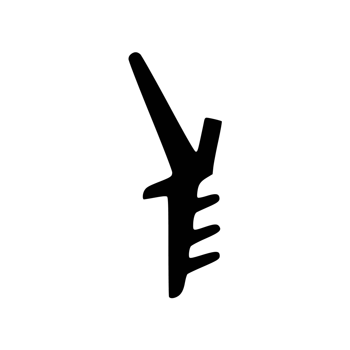 Türrahmen Dichtung - Holzzargendichtung für Holzfenster | 3 - 4 mm Nutbreite | Farbe: schwarz