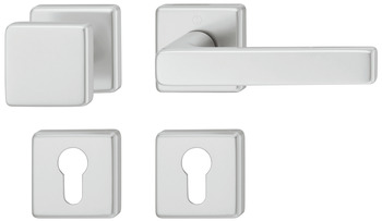 Türdrücker-Garnitur mit Profilzylinder | Hoppe Dallas 1643/52KV/52KVS | Farbe: silber