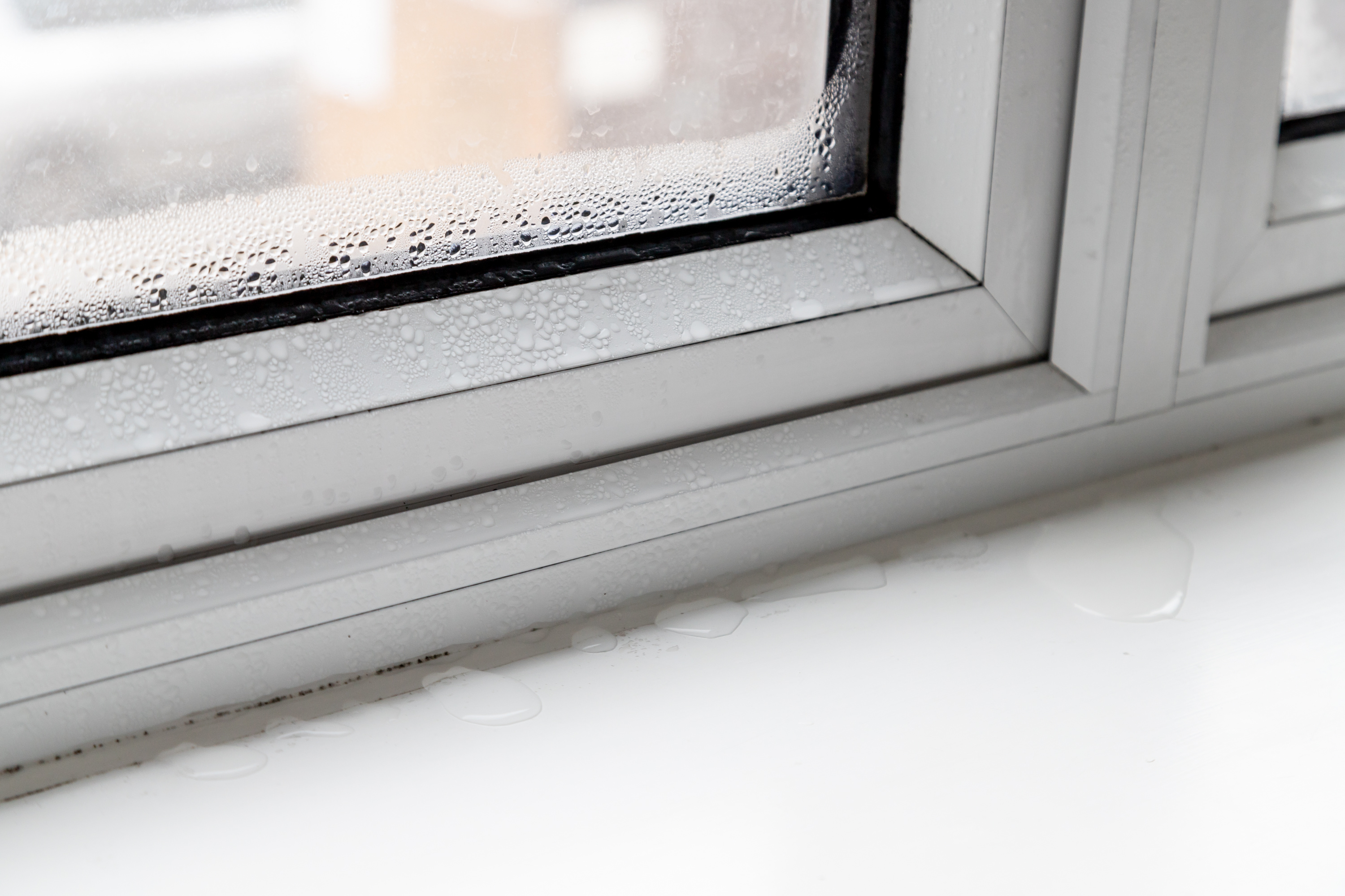 Fensterdichtung erneuern – bei Schimmelbefall - AdobeStock_575695145 (2)