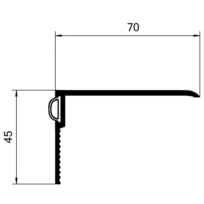 Renovierungsschienen für Bodenschwellen | Breite: 70 mm | Farbe: silber