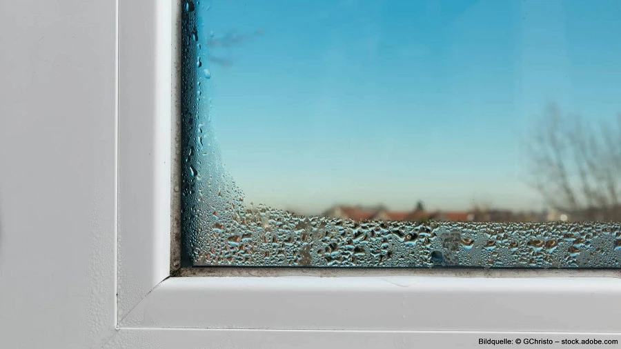 Kondensation am Fenster zwischen den Glasscheiben