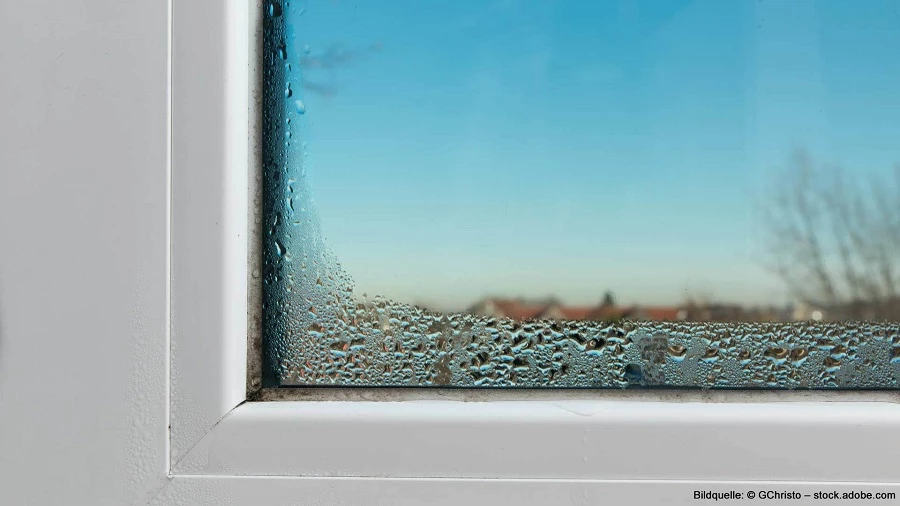 Angelaufenes Fenster Kondensation am Fenster zwischen den Glasscheiben