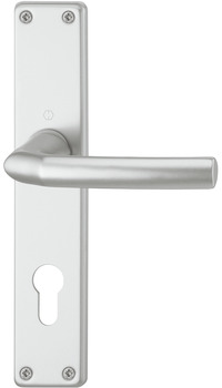 Türdrücker - Türdrücker-Garnitur mit Profilzylinder | Hoppe Birmingham 1117/202SP | Farbe: silber