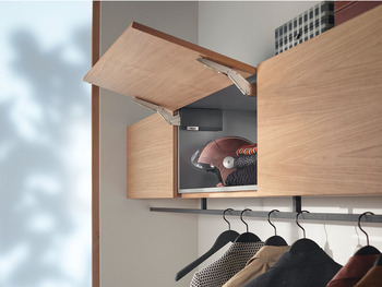 Blum Kraftspeicher-Einheit für Hochklappbeschlag | Leistungsfaktor 420-1610 | Farbe: dunkelgrau