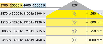 Häfele Loox5 LED Band 3048 | kaltweiß 4000K | 5 m Länge