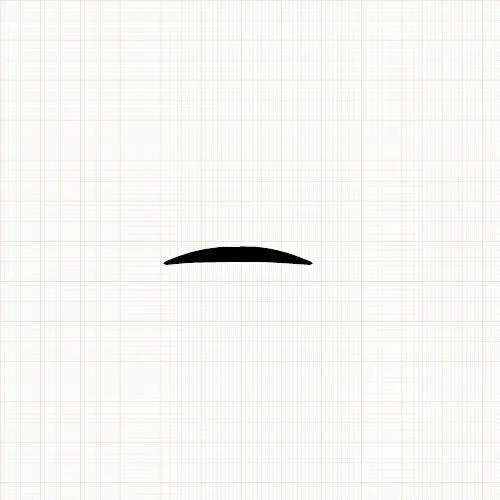 Bodenschwellendichtungen - Schwellenprofil für Türen | 2000 mm Länge | Farbe: silber